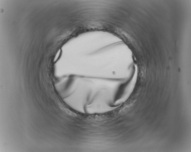 X0000077370817200611171946