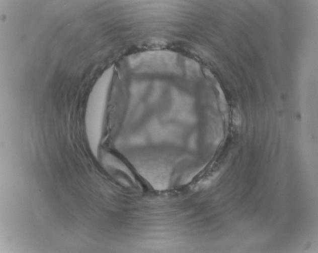 X0000077370818200611171946