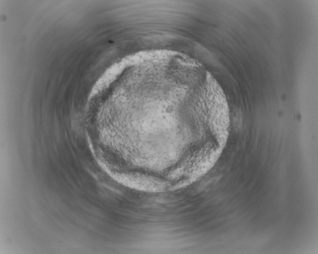 X0000077370819200611171946