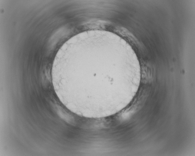 X0000077370820200611171946