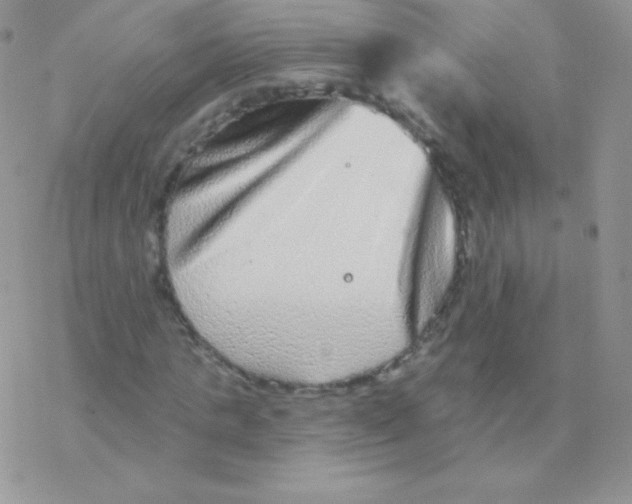 X0000077370821200611171946