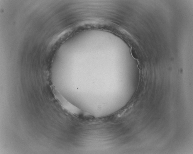 X0000077370822200611171946