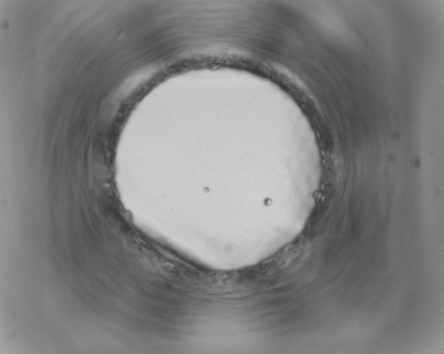 X0000077370823200611171946