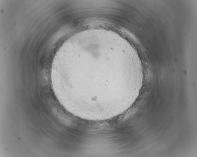 X0000077370824200611171947