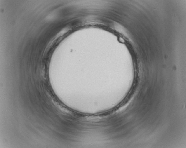 X0000077370825200611171947