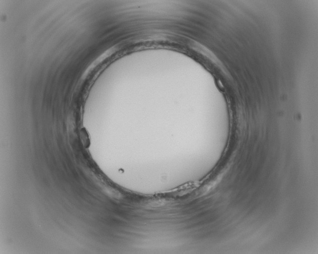 X0000077370826200611171947