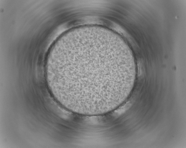 X0000077370828200611171947