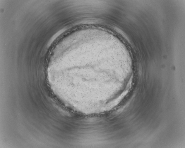 X0000077370829200611171947