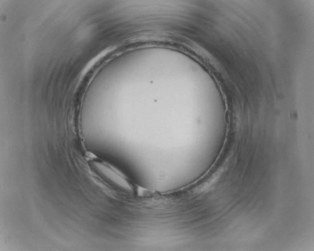 X0000077370830200611171947