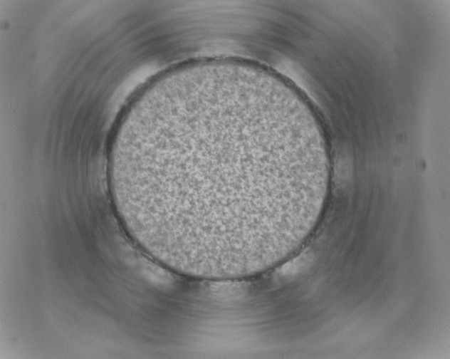 X0000077370832200611171947