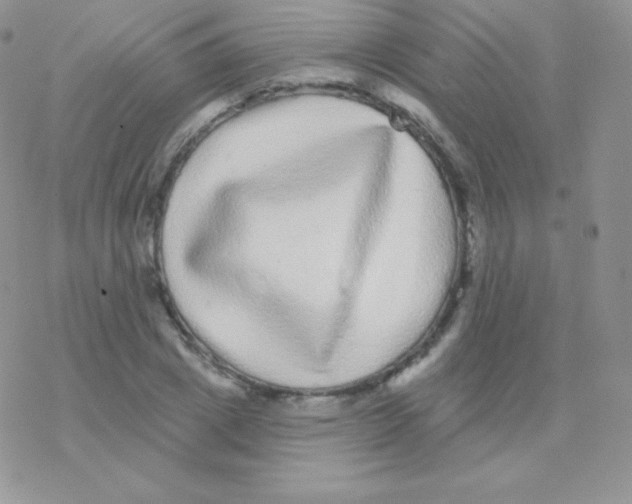 X0000077370833200611171947