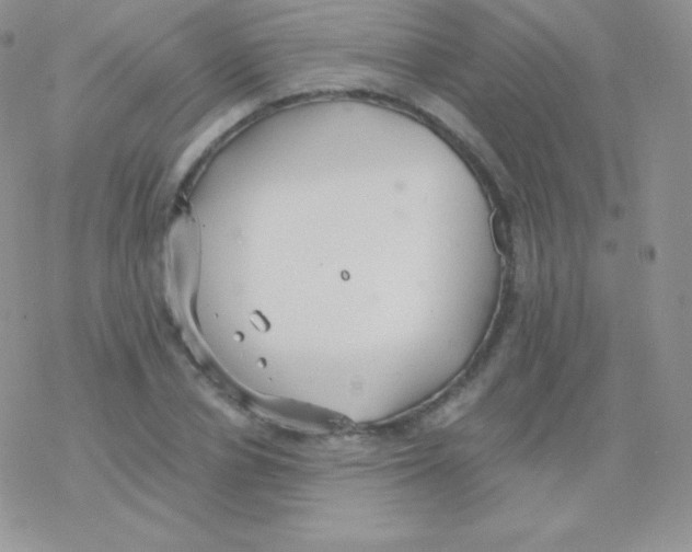 X0000077370834200611171947