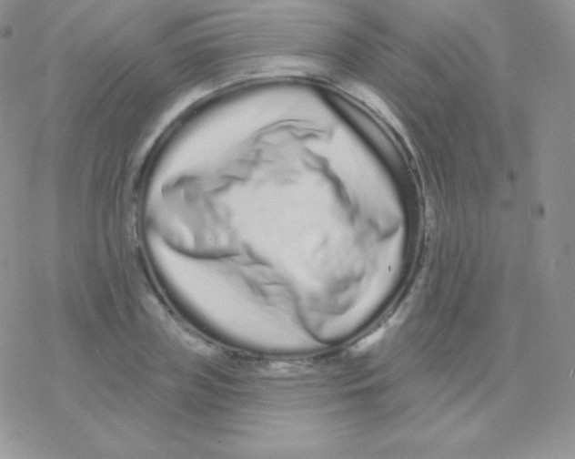 X0000077370835200611171947