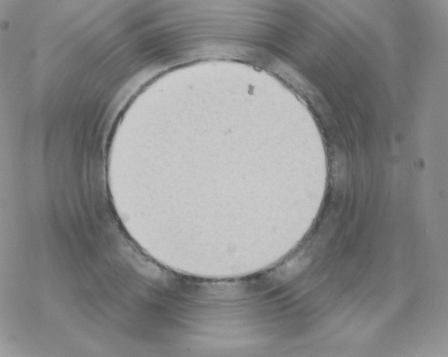 X0000077370836200611171947