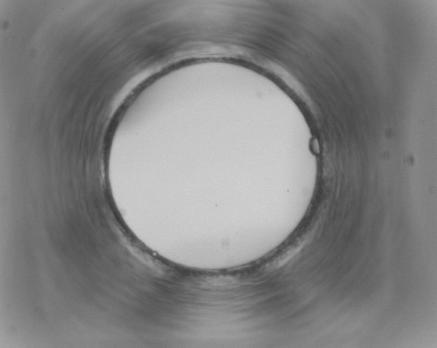 X0000077370837200611171947