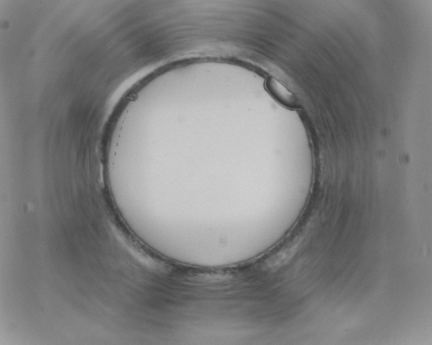 X0000077370838200611171947