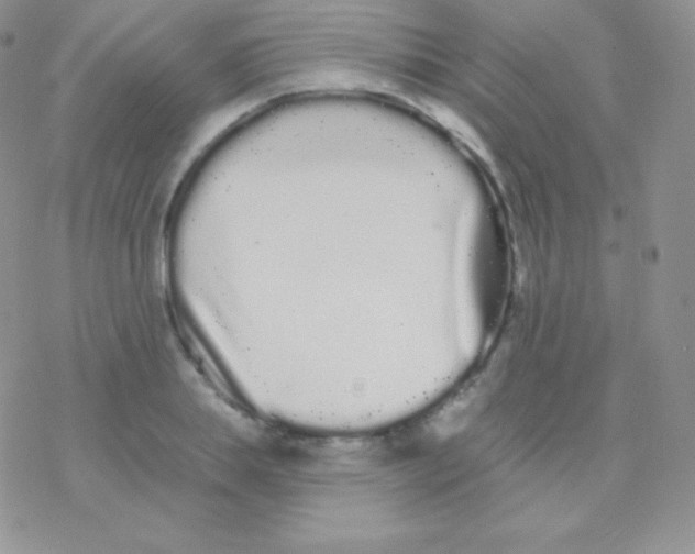 X0000077370839200611171947