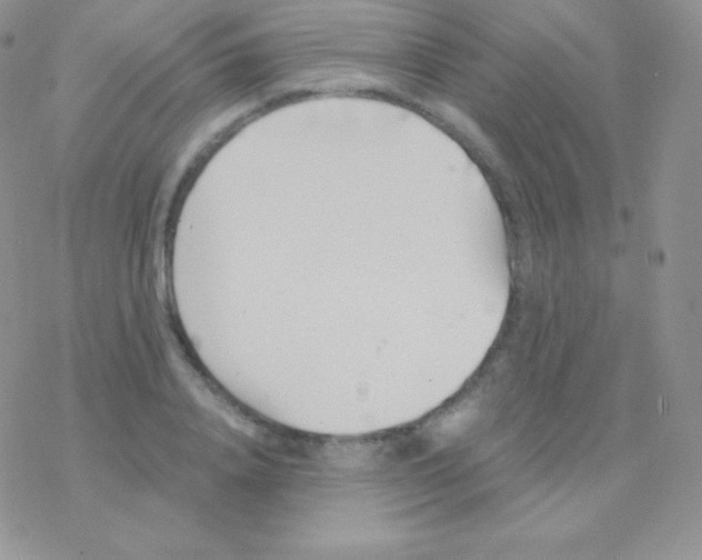 X0000077370840200611171947