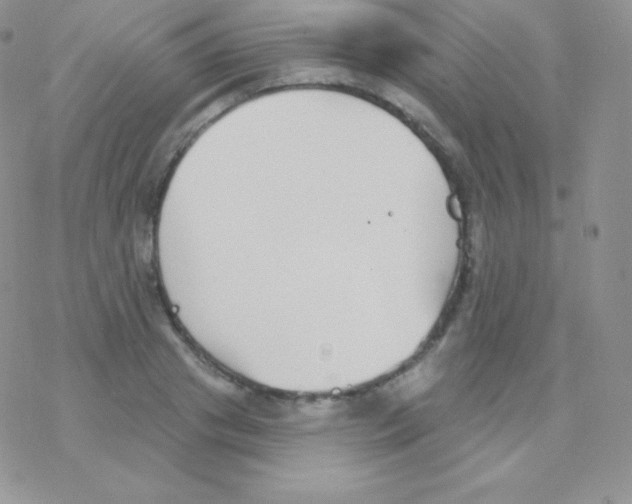 X0000077370841200611171947