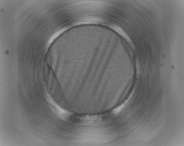 X0000077370842200611171947