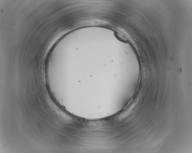 X0000077370843200611171947