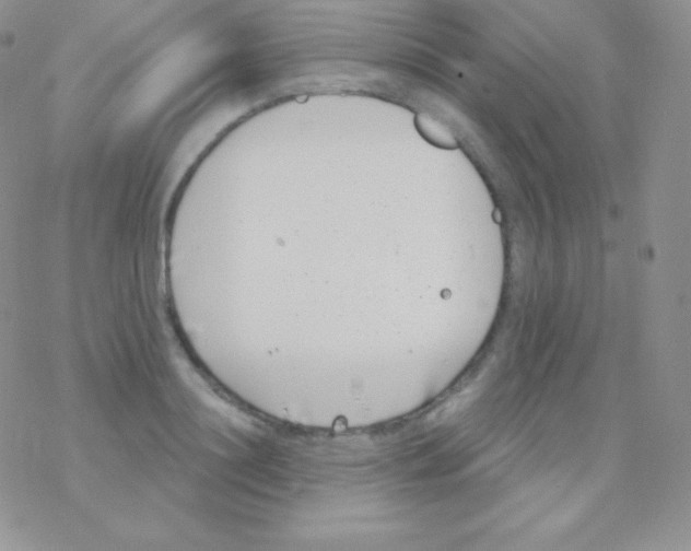 X0000077370844200611171947