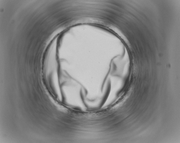 X0000077370845200611171947