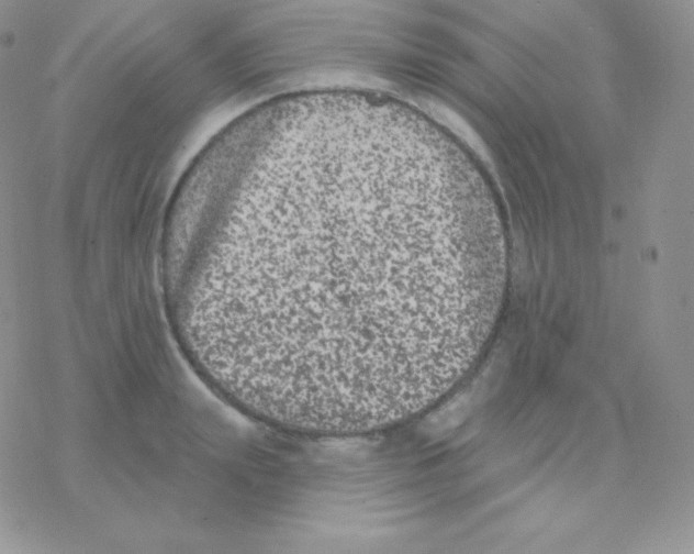 X0000077370847200611171947