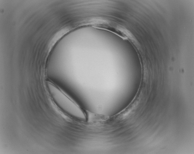 X0000077370850200611171947