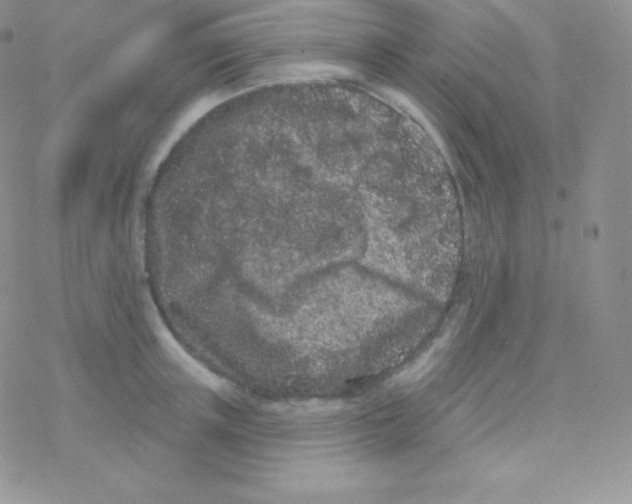 X0000077370851200611171947