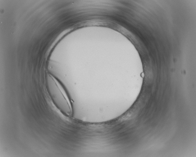 X0000077370852200611171947