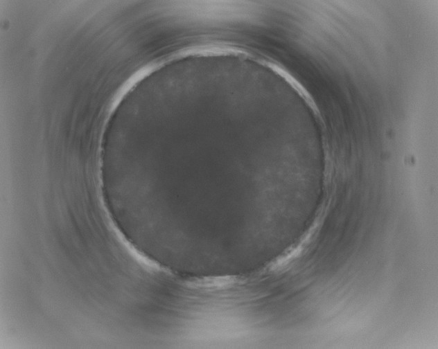 X0000077370853200611171947