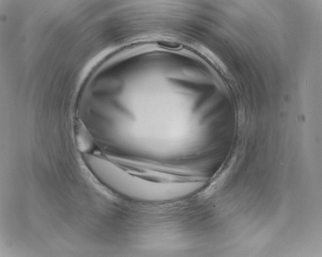 X0000077370854200611171947