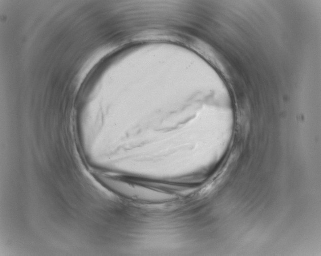 X0000077370855200611171947