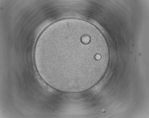 X0000077370856200611171947