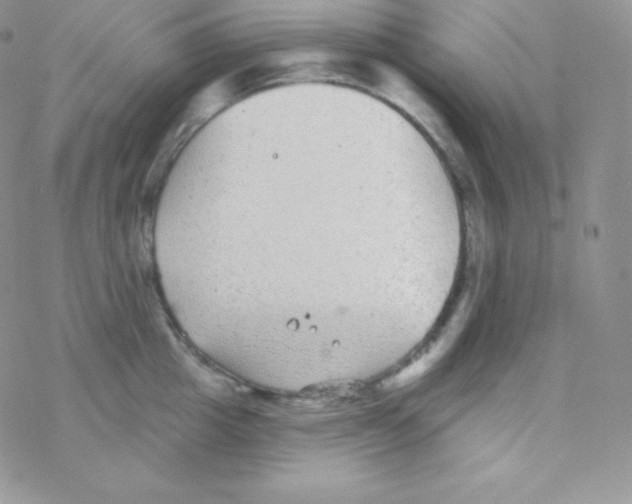 X0000077370857200611171947