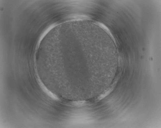 X0000077370859200611171947