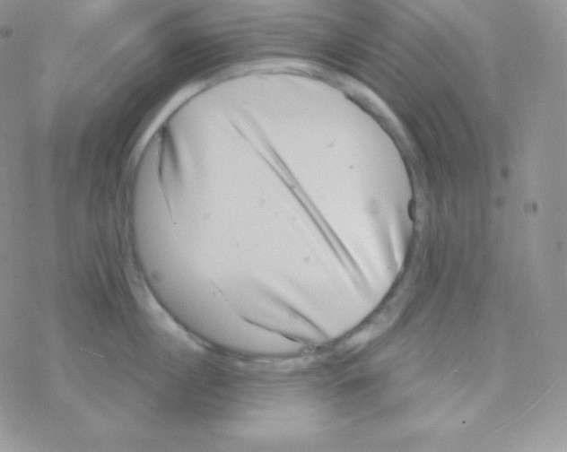 X0000077370860200611171947