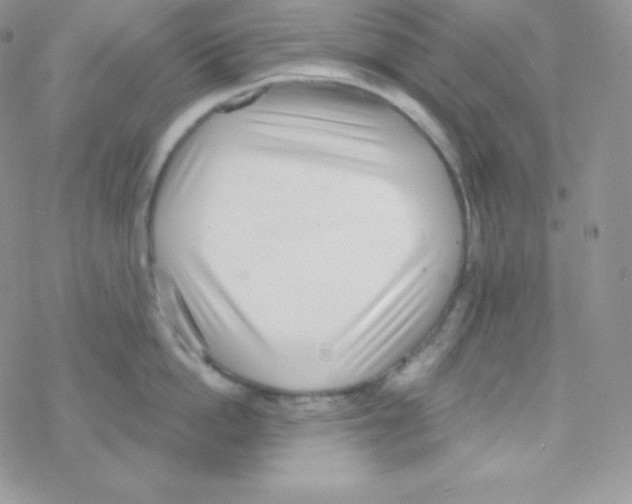 X0000077370862200611171947