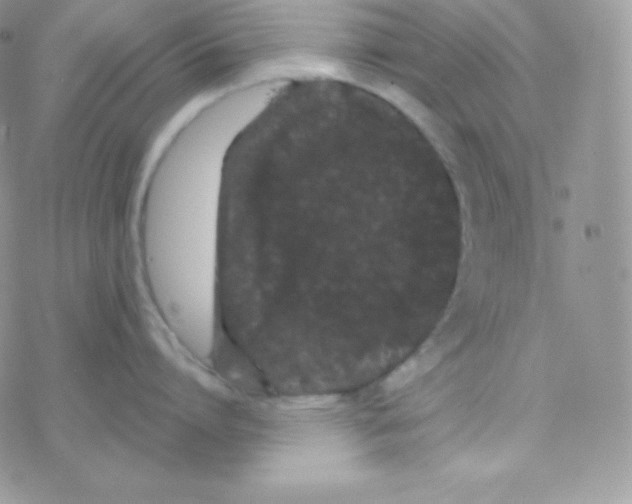 X0000077370864200611171947