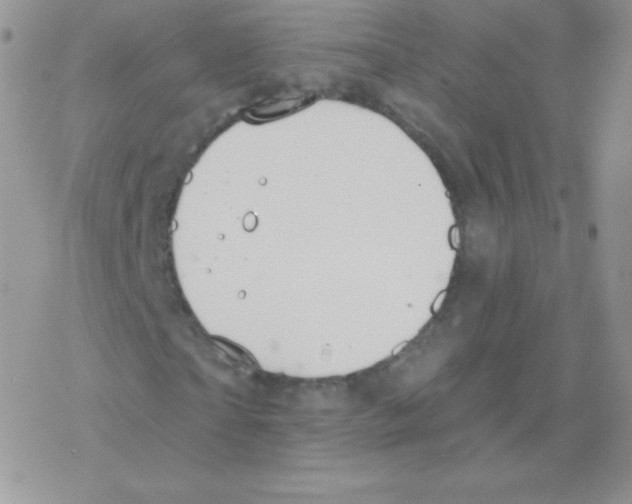 X0000077370865200611171946