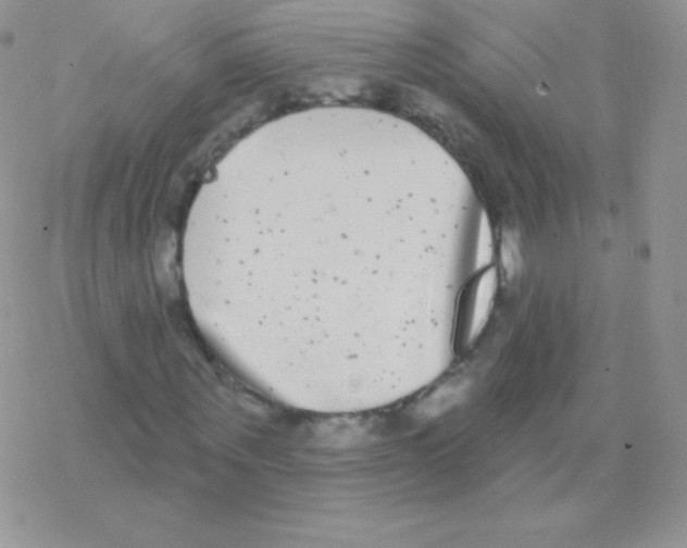 X0000077370867200611171946