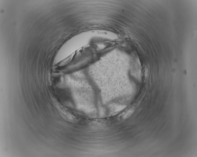 X0000077370868200611171946