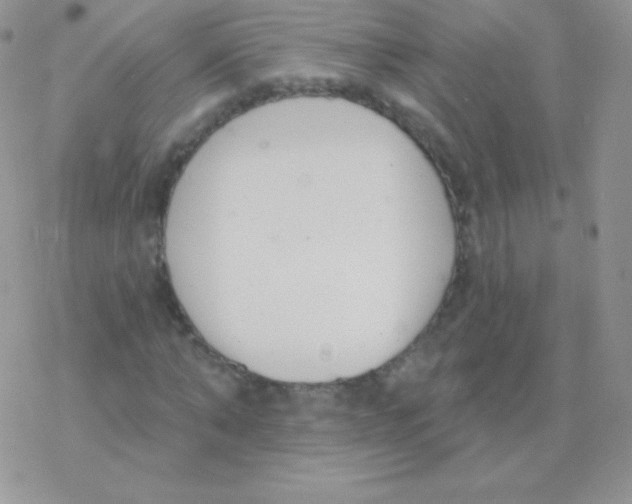 X0000077370870200611171946