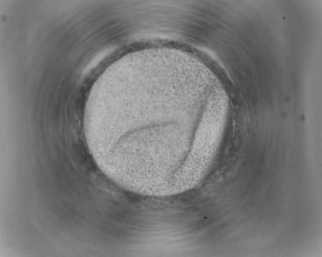 X0000077370871200611171946