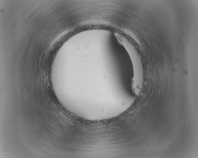 X0000077370872200611171946