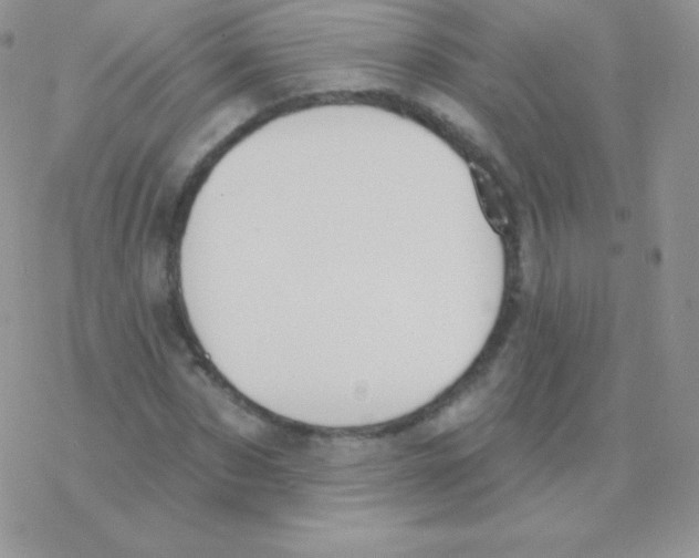 X0000077370873200611171946