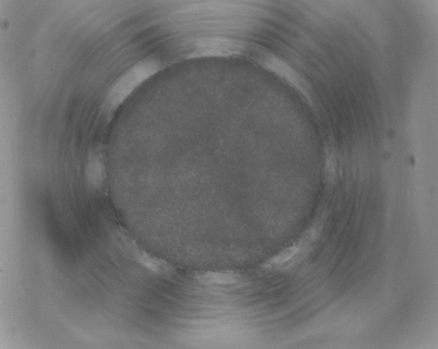 X0000077370874200611171946