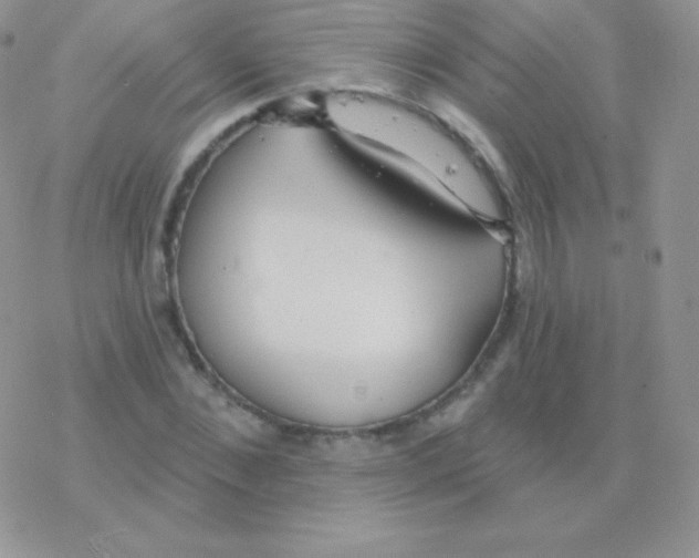 X0000077370876200611171946