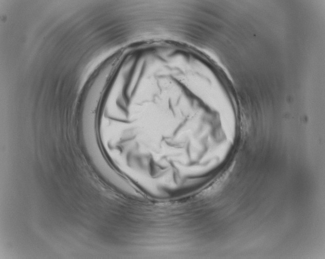 X0000077370879200611171946